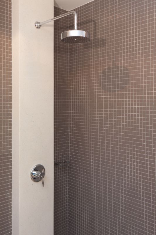 Ceiling-Mounted Rain Shower Head